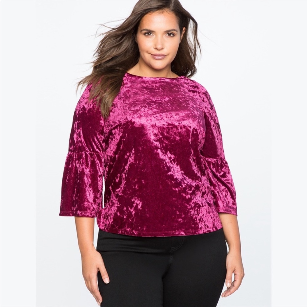 Velour bell sleeve top nwt